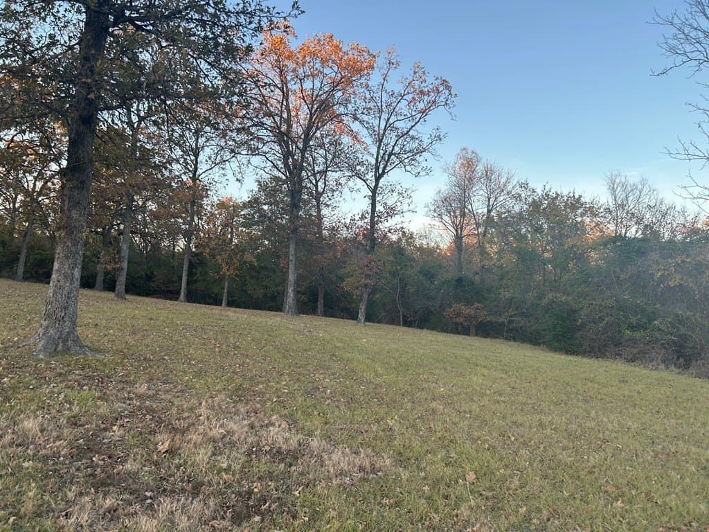 1.48 acres in Henderson County - photo 7