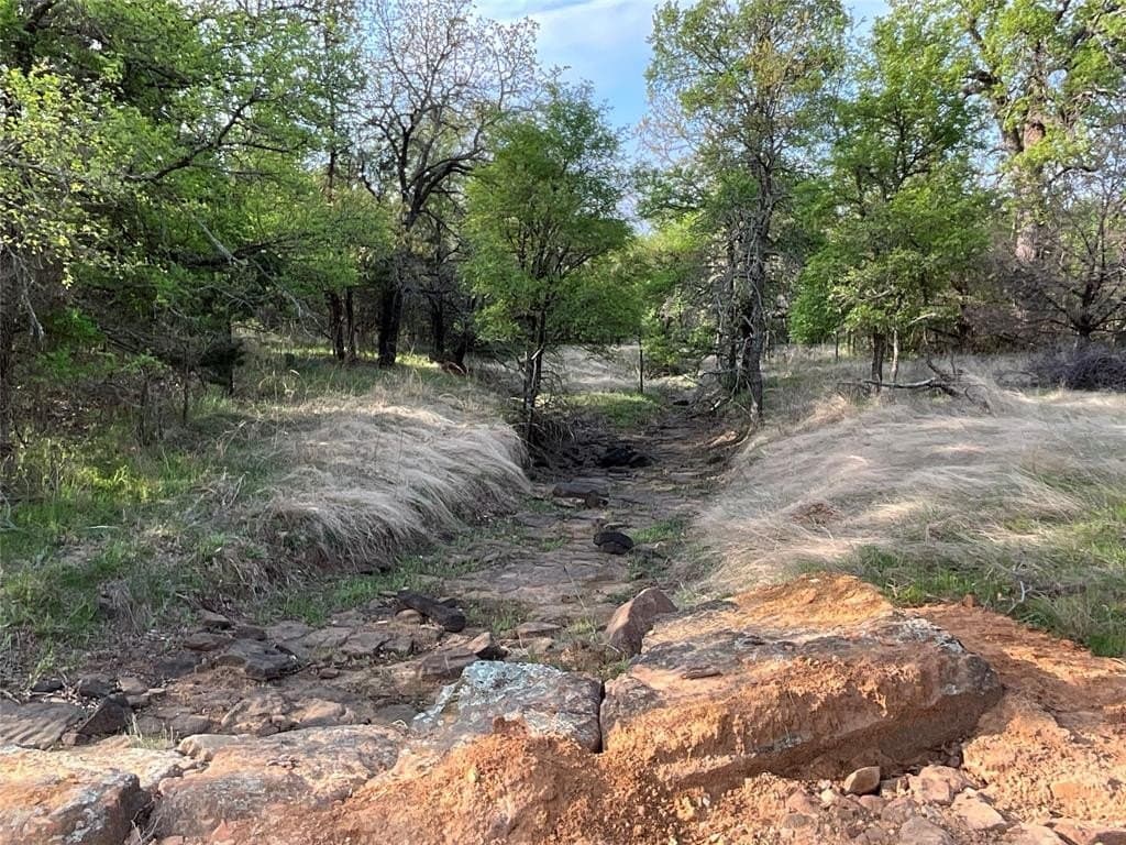 24.13 acres in Palo Pinto County - photo 7