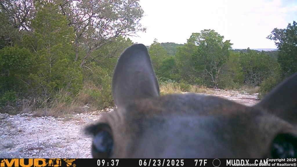 107.05 acres in Edwards County - photo 14