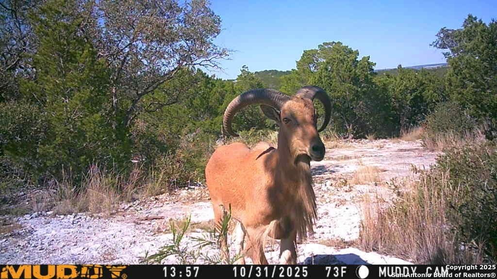 107.05 acres in Edwards County - photo 12