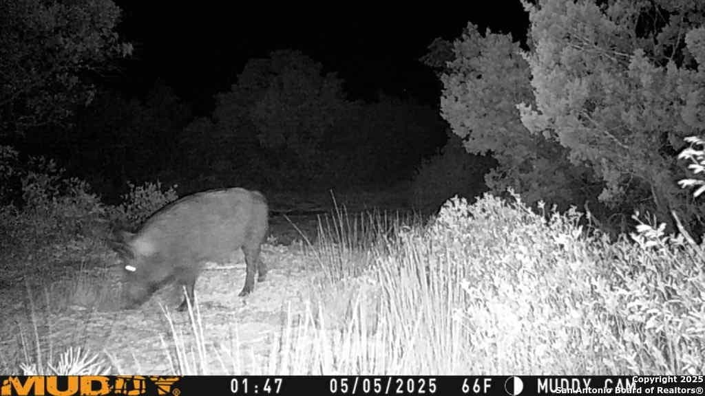 107.05 acres in Edwards County - photo 17