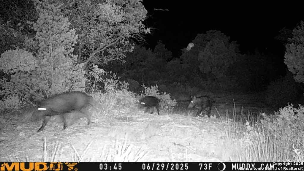 107.05 acres in Edwards County - photo 13