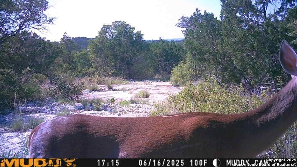 107.05 acres in Edwards County - photo 16