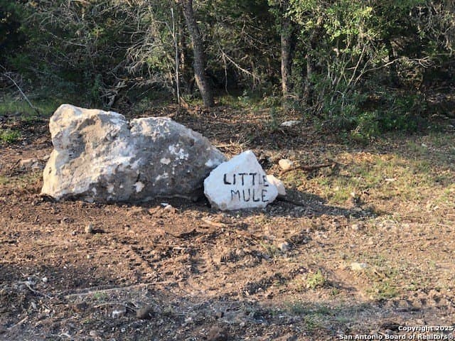 107.05 acres in Edwards County - photo 8