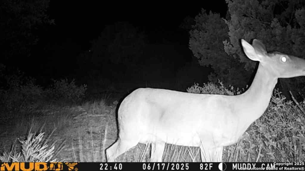 107.05 acres in Edwards County - photo 15