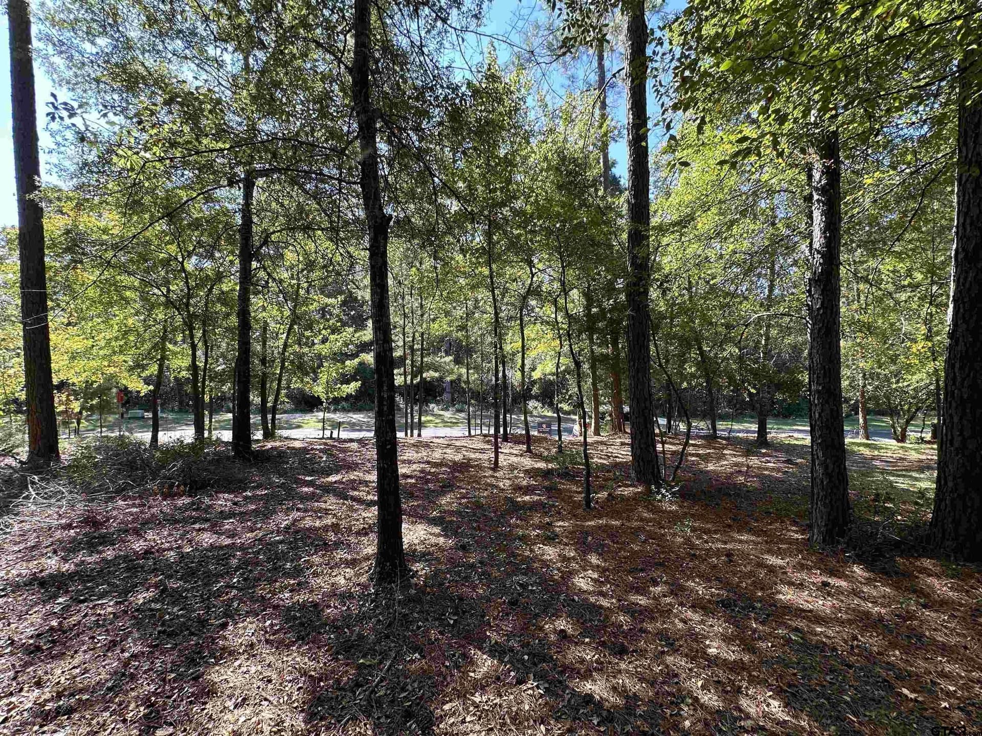 0.37 acres in Wood County - photo 30