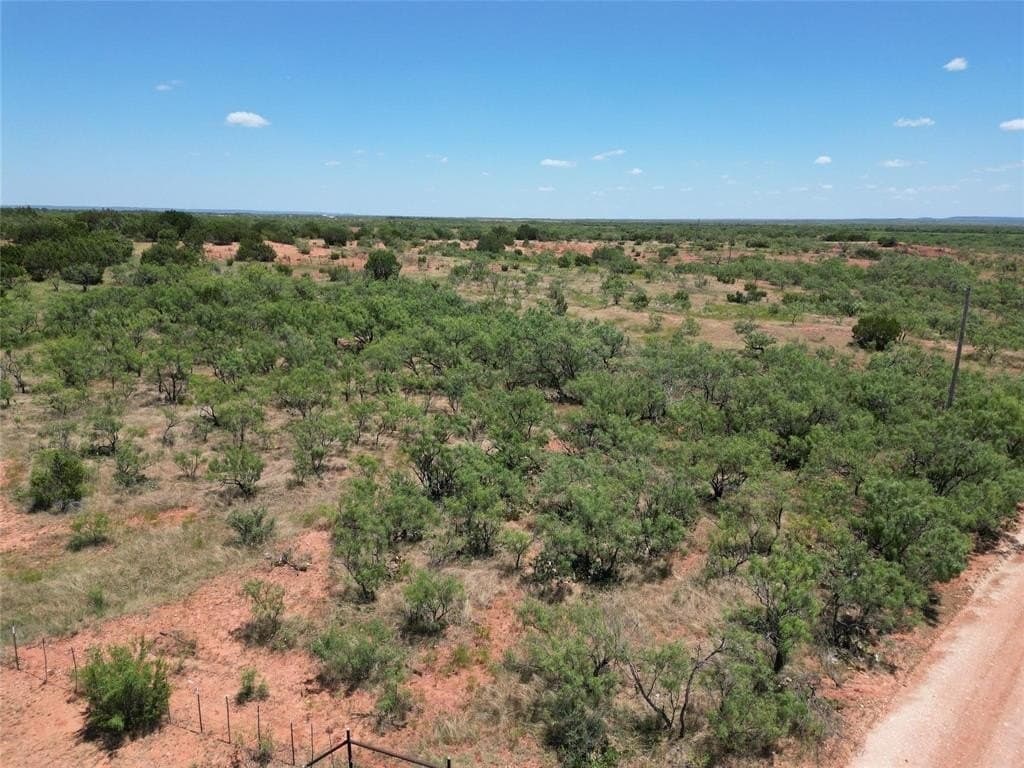 52 acres in Taylor County - photo 11
