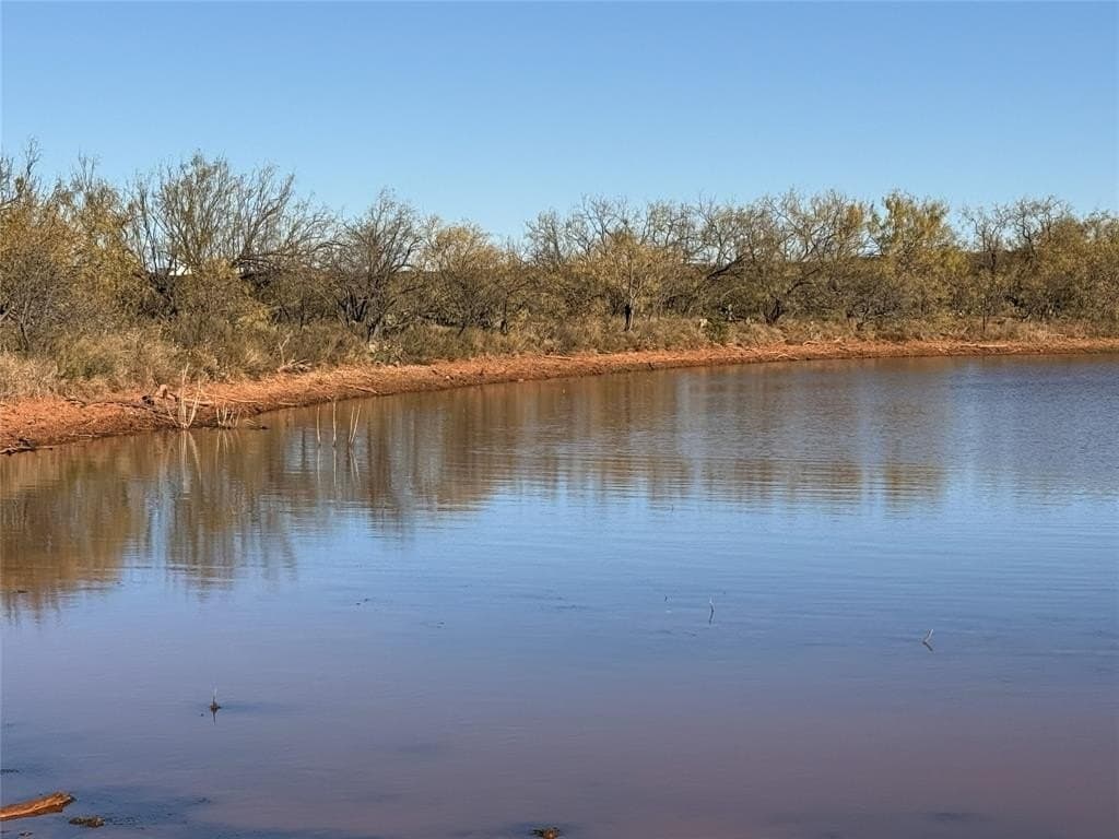 52 acres in Taylor County - photo 10
