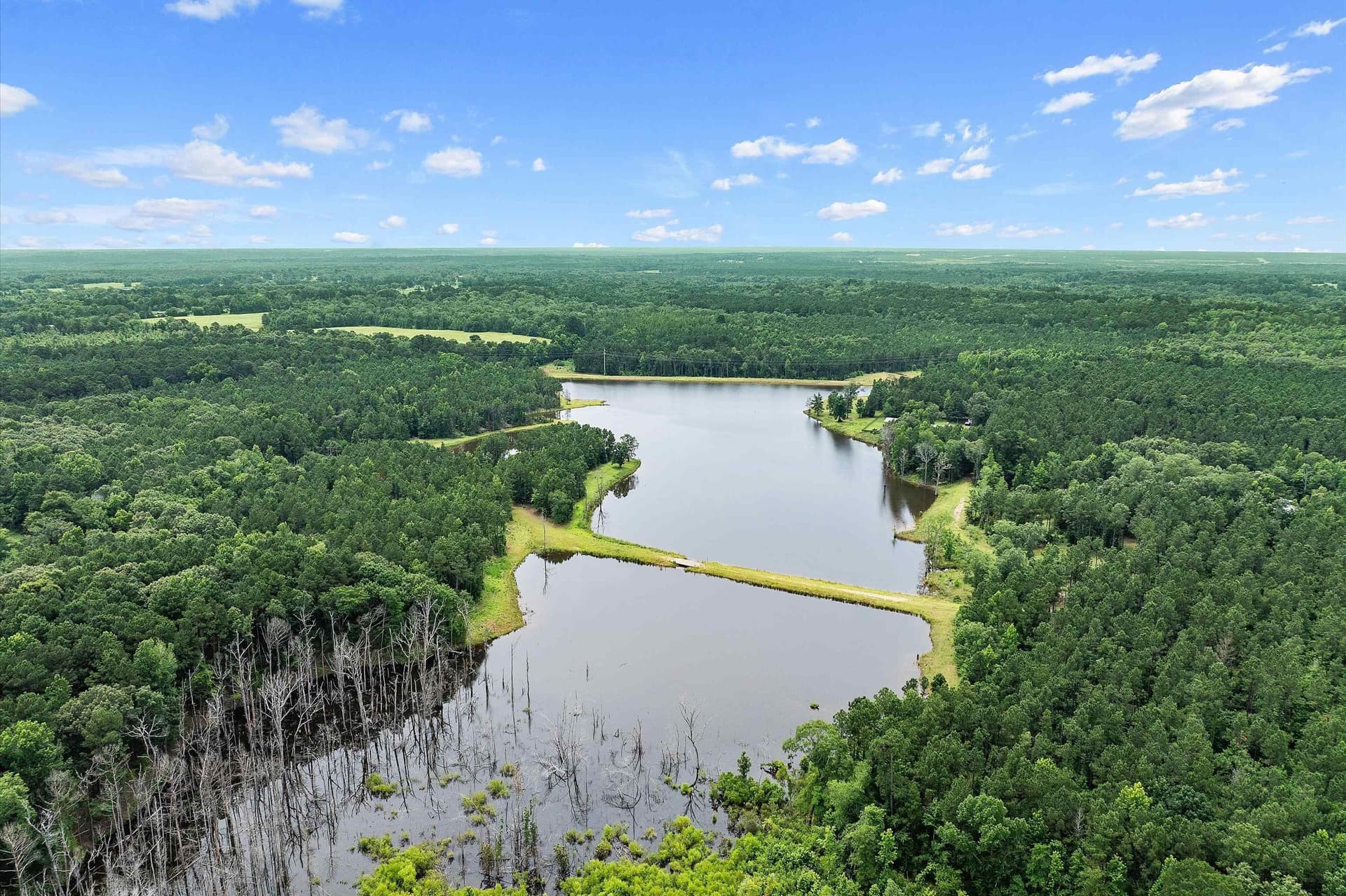 125 acres in Rusk County - photo 5