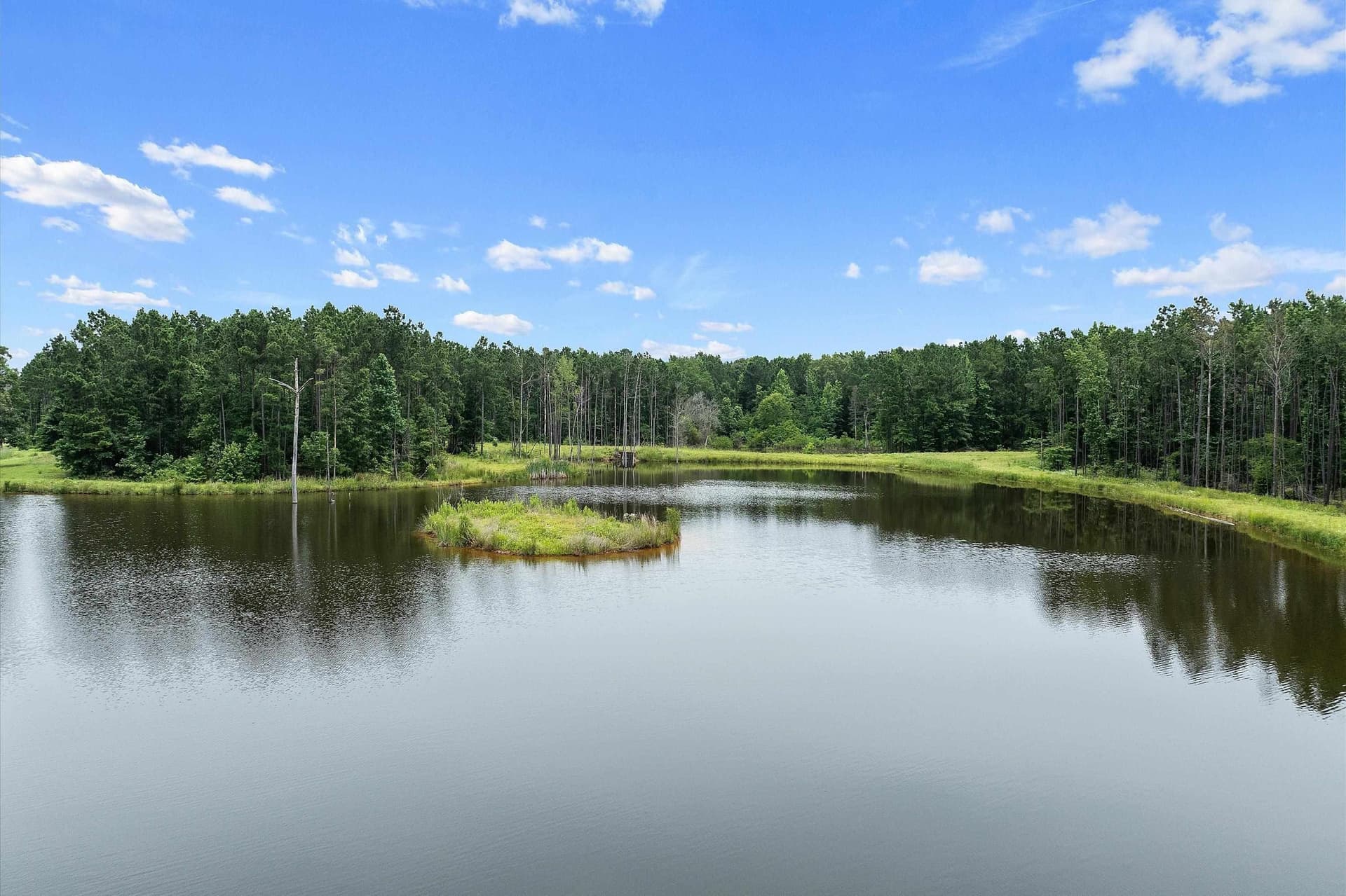 125 acres in Rusk County - photo 4