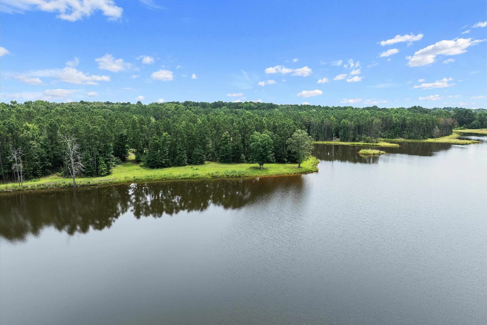 125 acres in Rusk County - photo 9