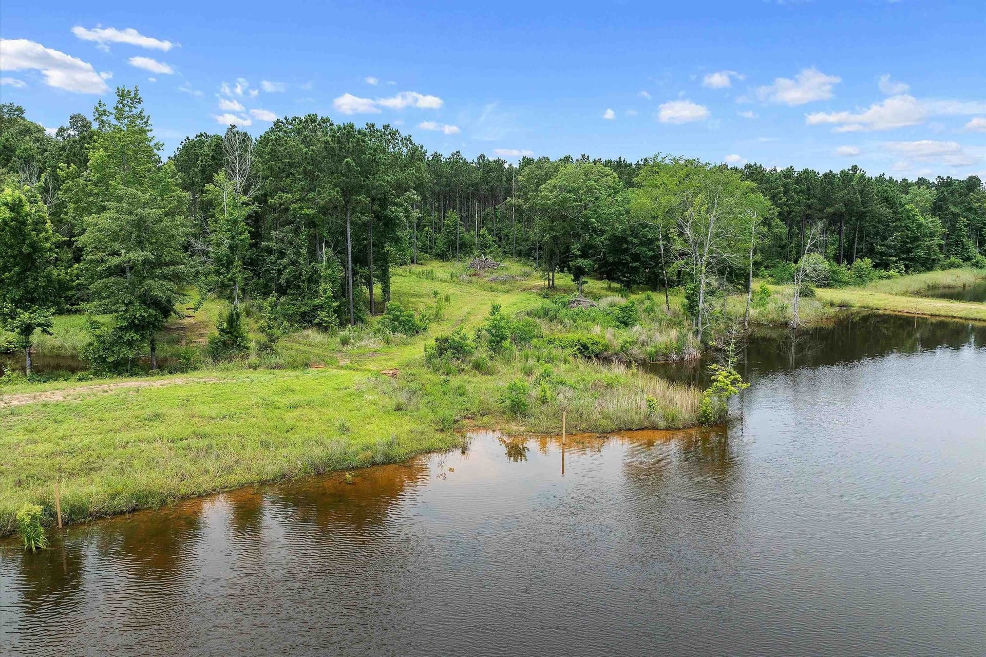 125 acres in Rusk County - photo 11
