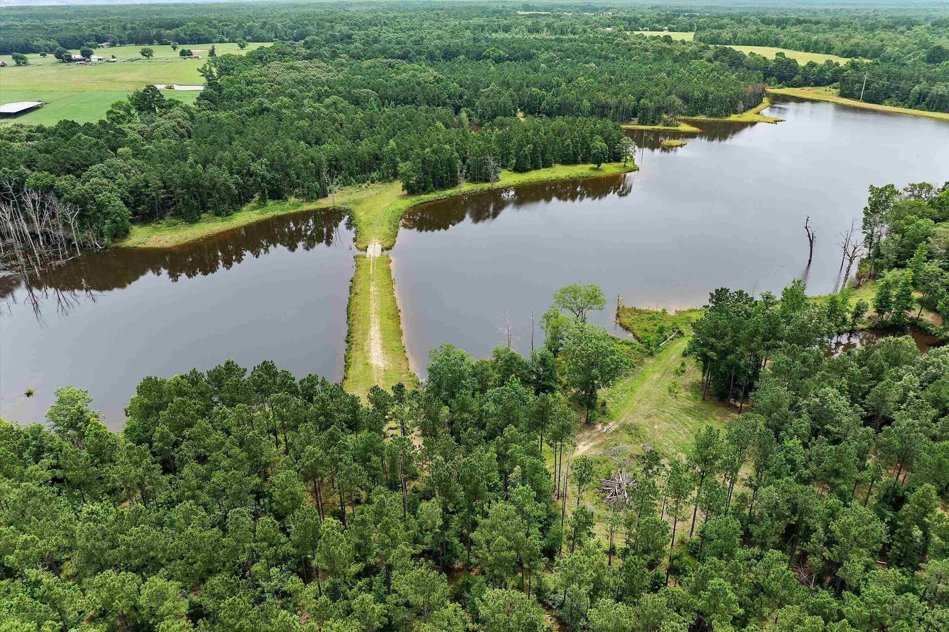 125 acres in Rusk County - photo 7