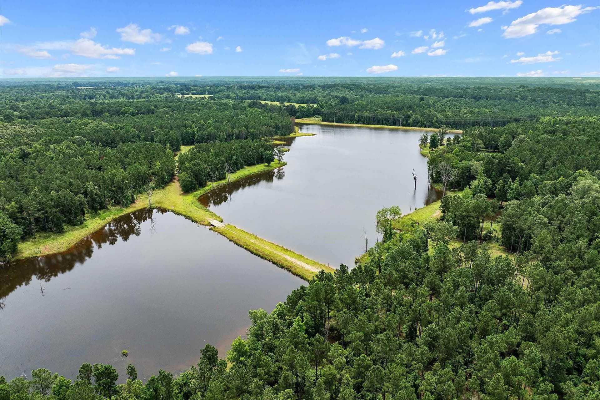 125 acres in Rusk County - photo 6