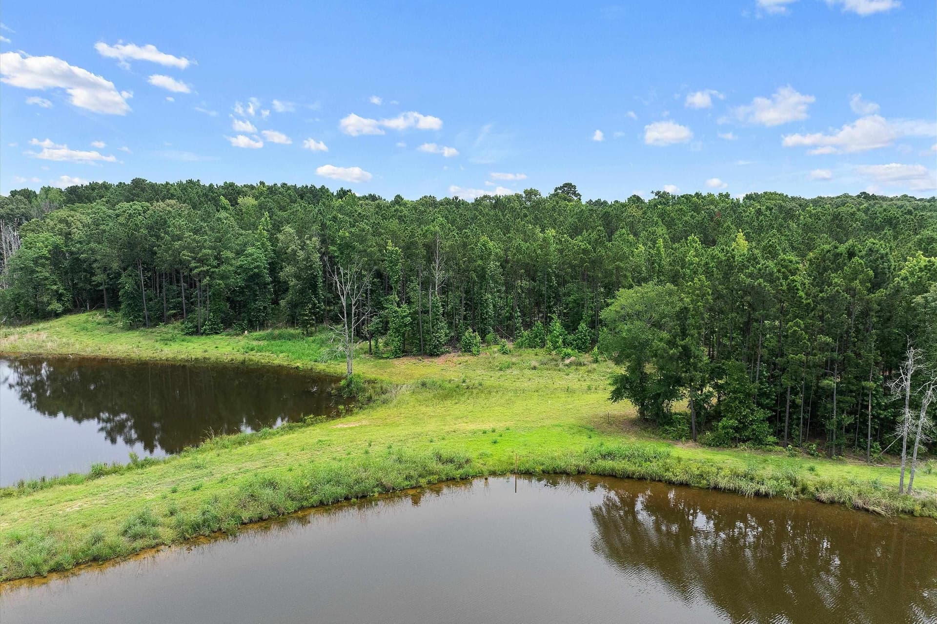 125 acres in Rusk County - photo 10