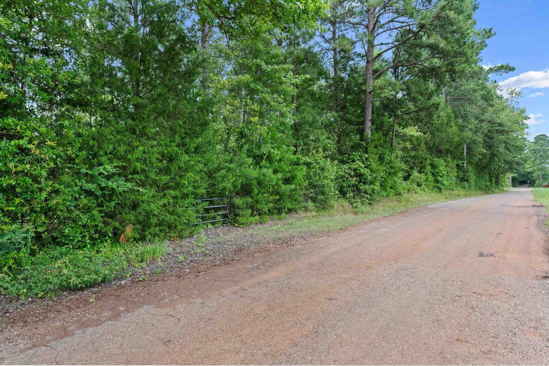 125 acres in Rusk County - photo 3