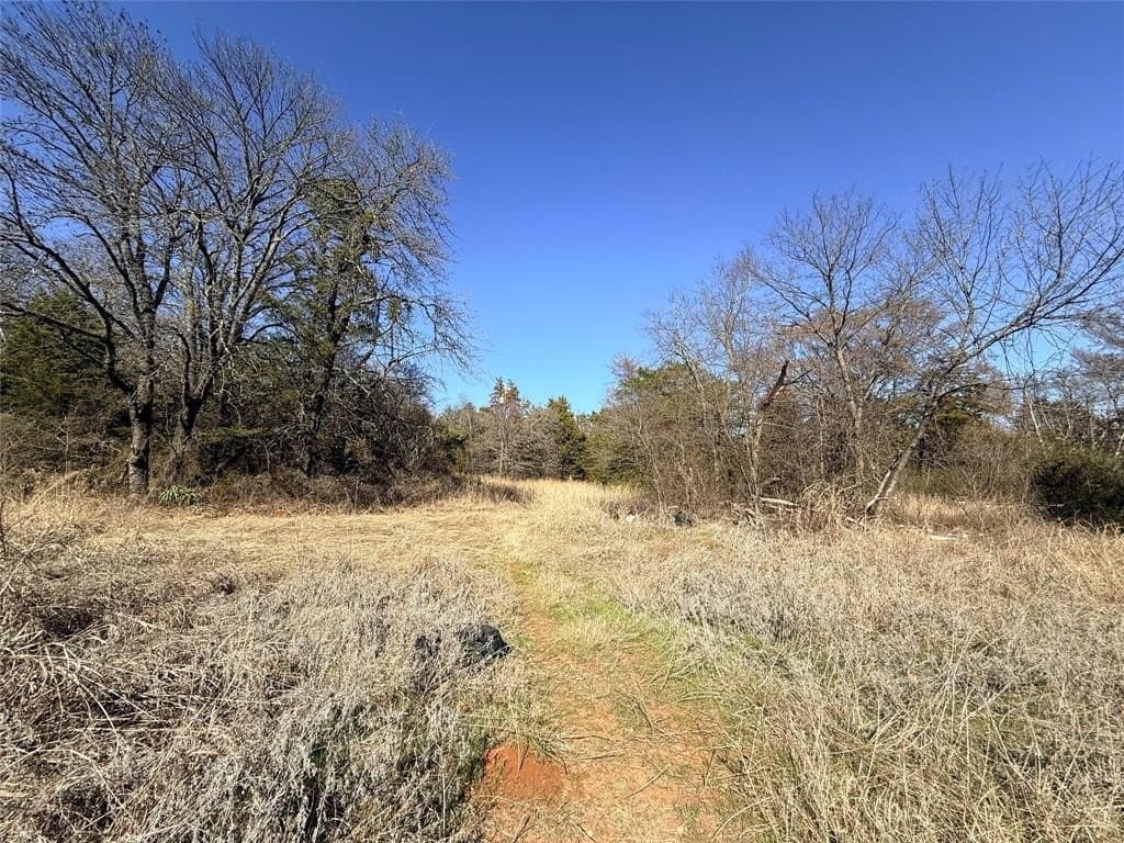 4 acres in Grayson County - photo 4
