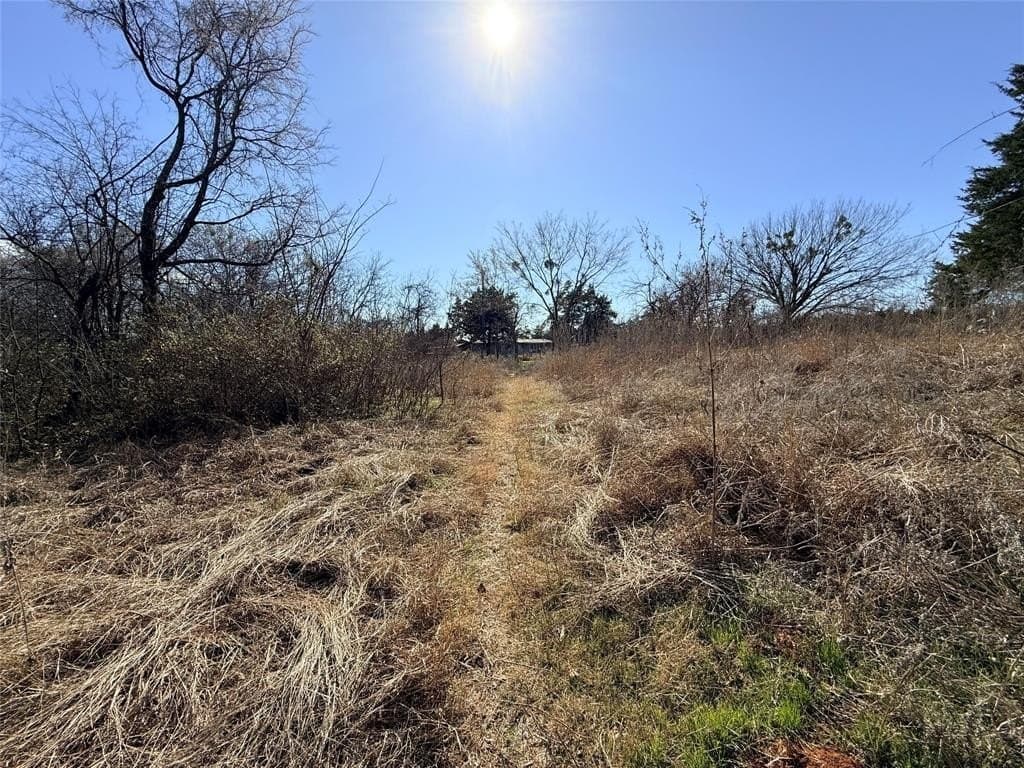 4 acres in Grayson County - photo 5