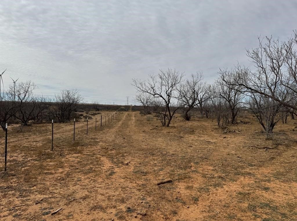 360 acres in Scurry County - photo 3