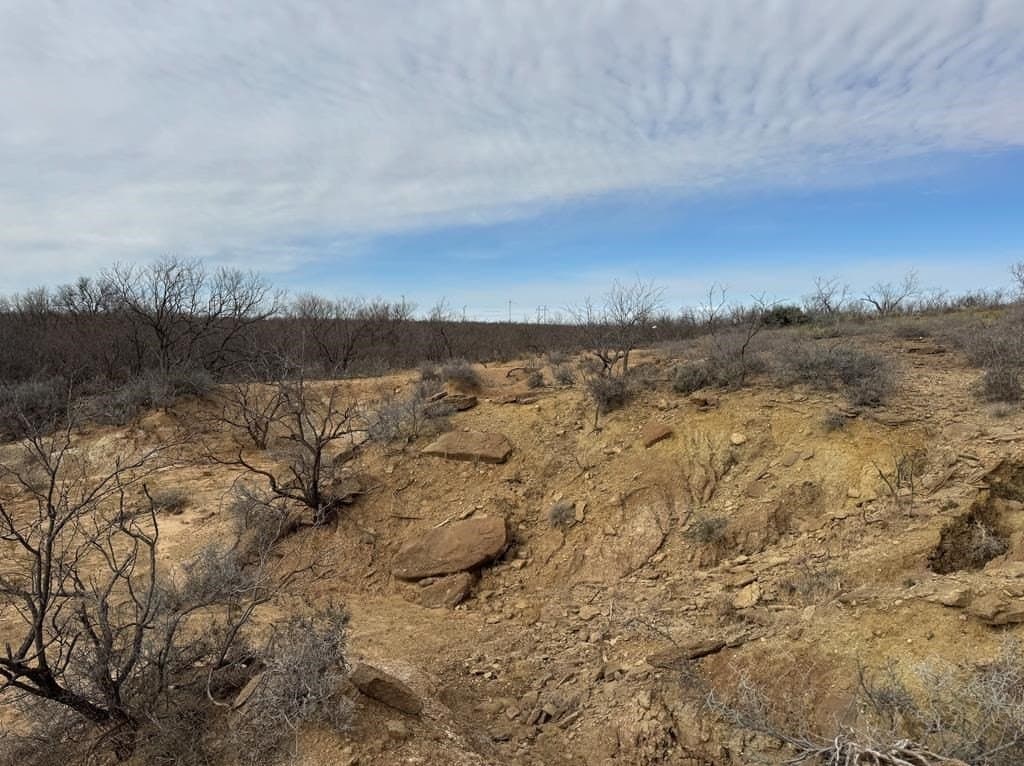 360 acres in Scurry County - photo 4