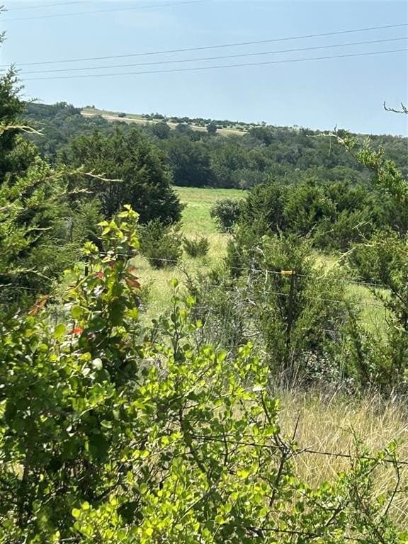 100 acres in Hamilton County - photo 12