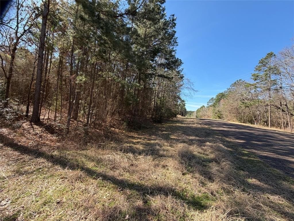 10 acres in Cherokee County - photo 15