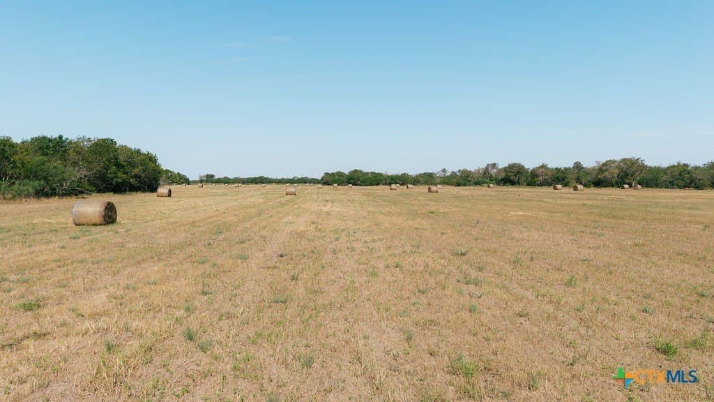 225 acres in Victoria County - photo 8