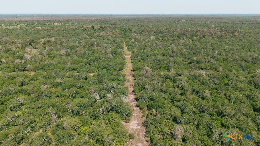 225 acres in Victoria County - photo 12