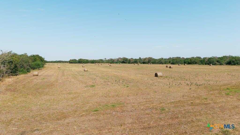 225 acres in Victoria County - photo 6