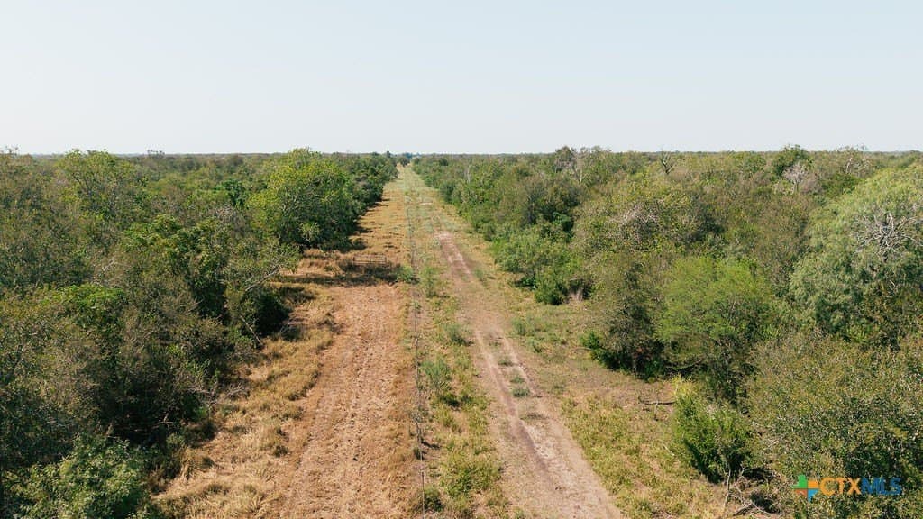 225 acres in Victoria County - photo 2