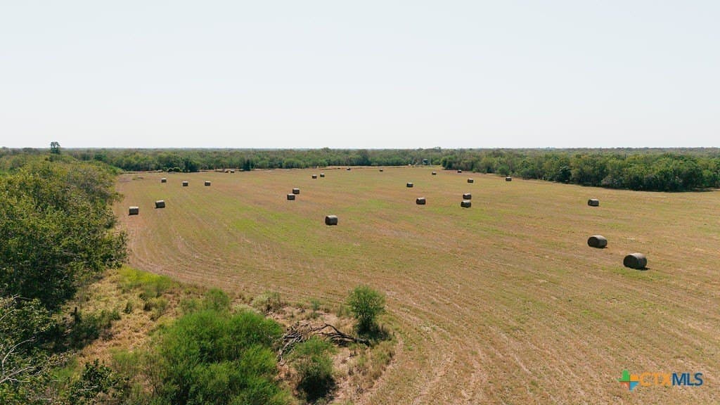 225 acres in Victoria County - photo 20