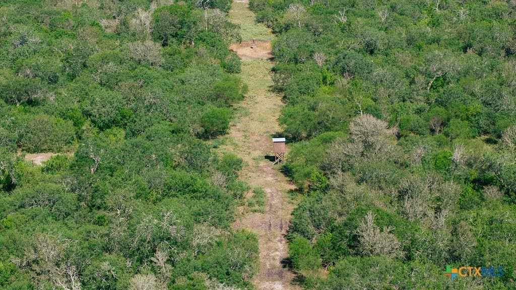 225 acres in Victoria County - photo 13
