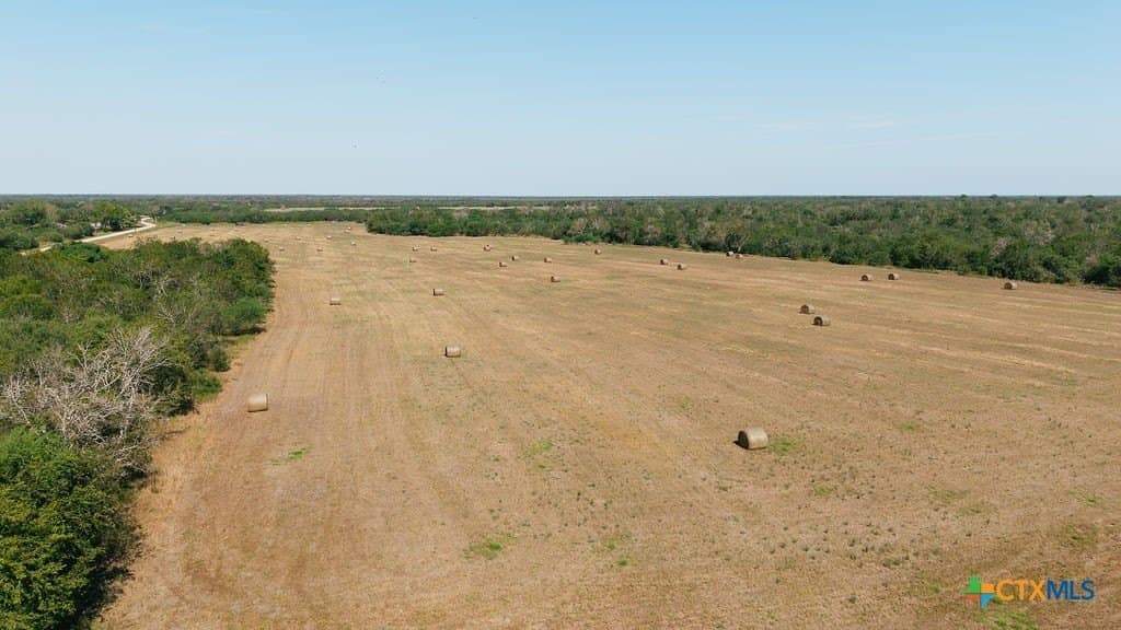 225 acres in Victoria County - photo 5