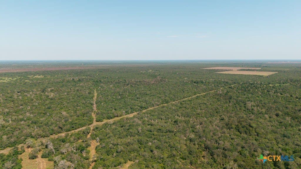 225 acres in Victoria County - photo 15