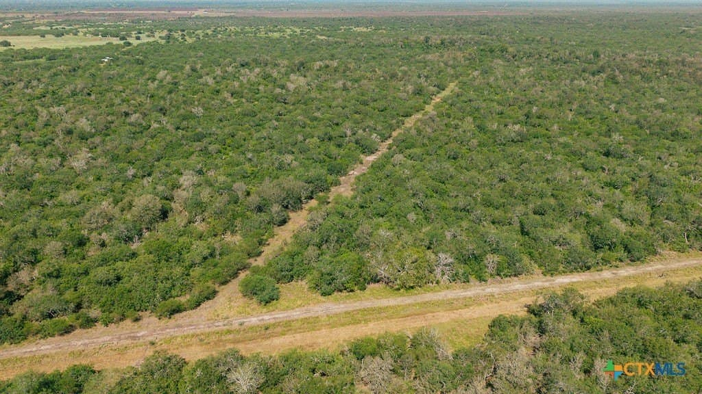 225 acres in Victoria County - photo 17