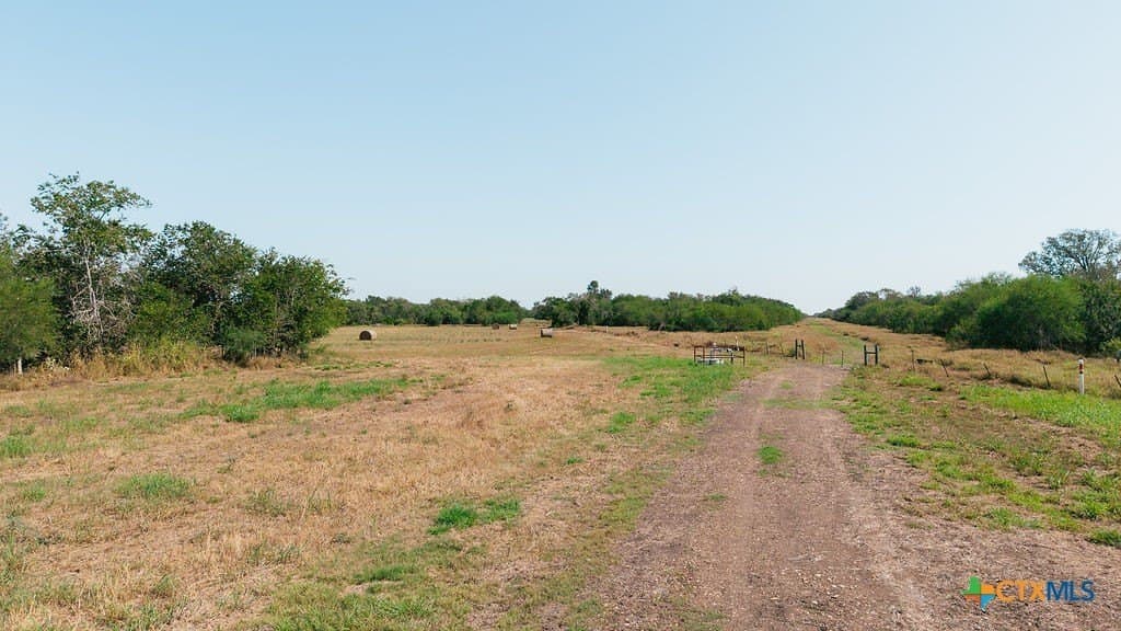 225 acres in Victoria County - photo 4