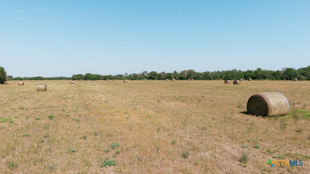 225 acres in Victoria County - photo 7