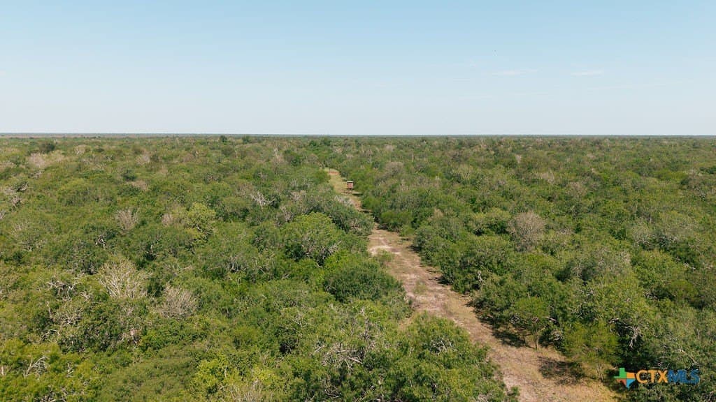 225 acres in Victoria County - photo 18