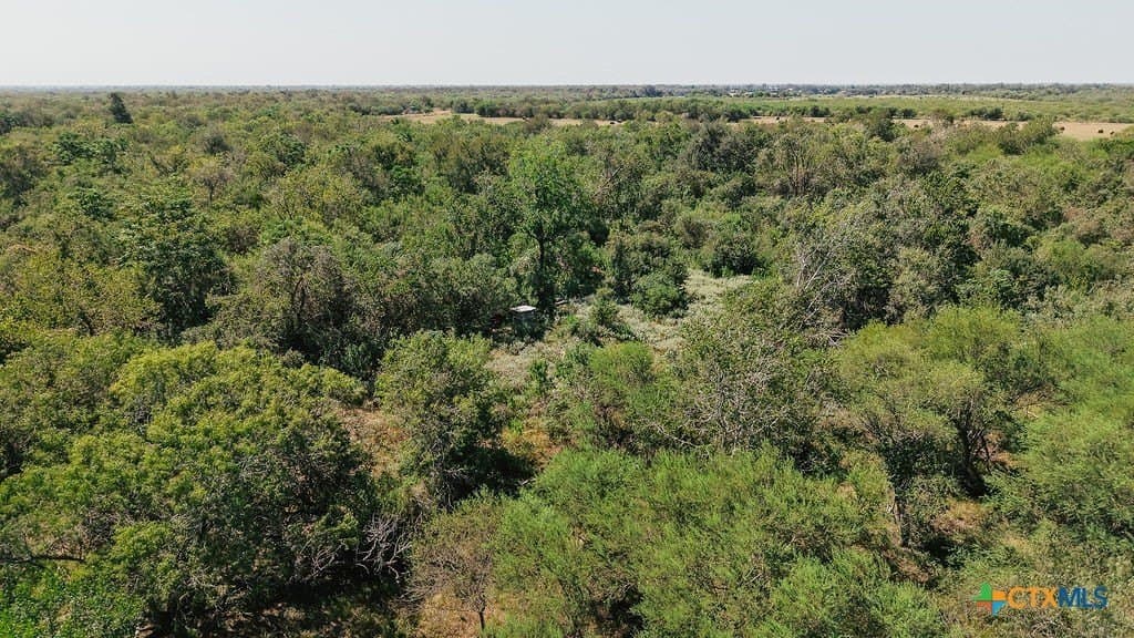 225 acres in Victoria County - photo 19