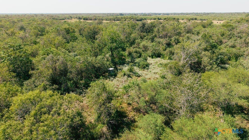 225 acres in Victoria County - photo 3