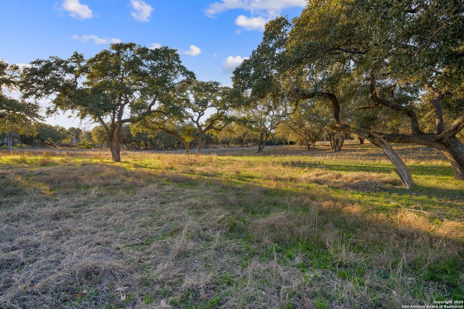 6.56 acres in Comal County - photo 9