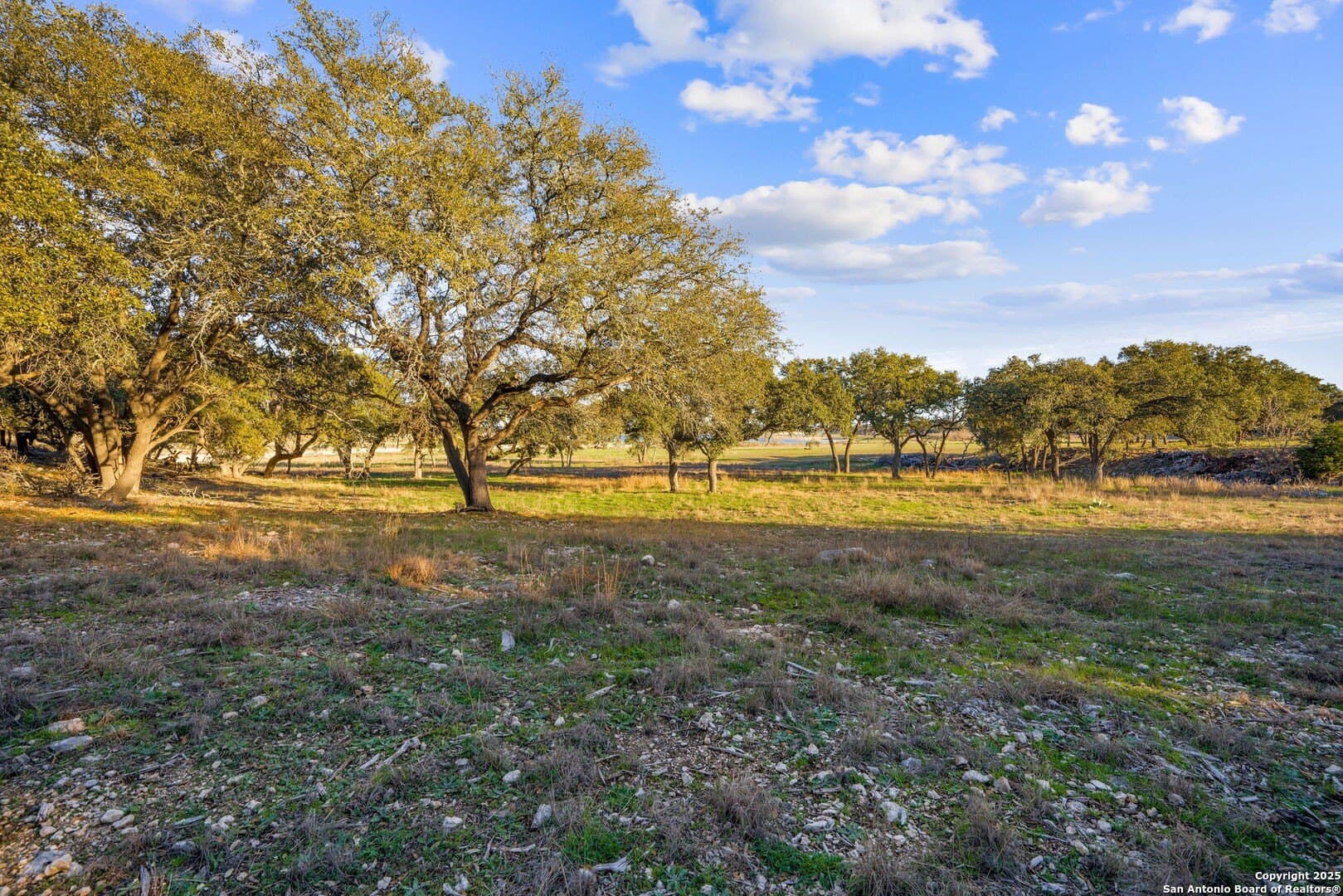 6.56 acres in Comal County - photo 21