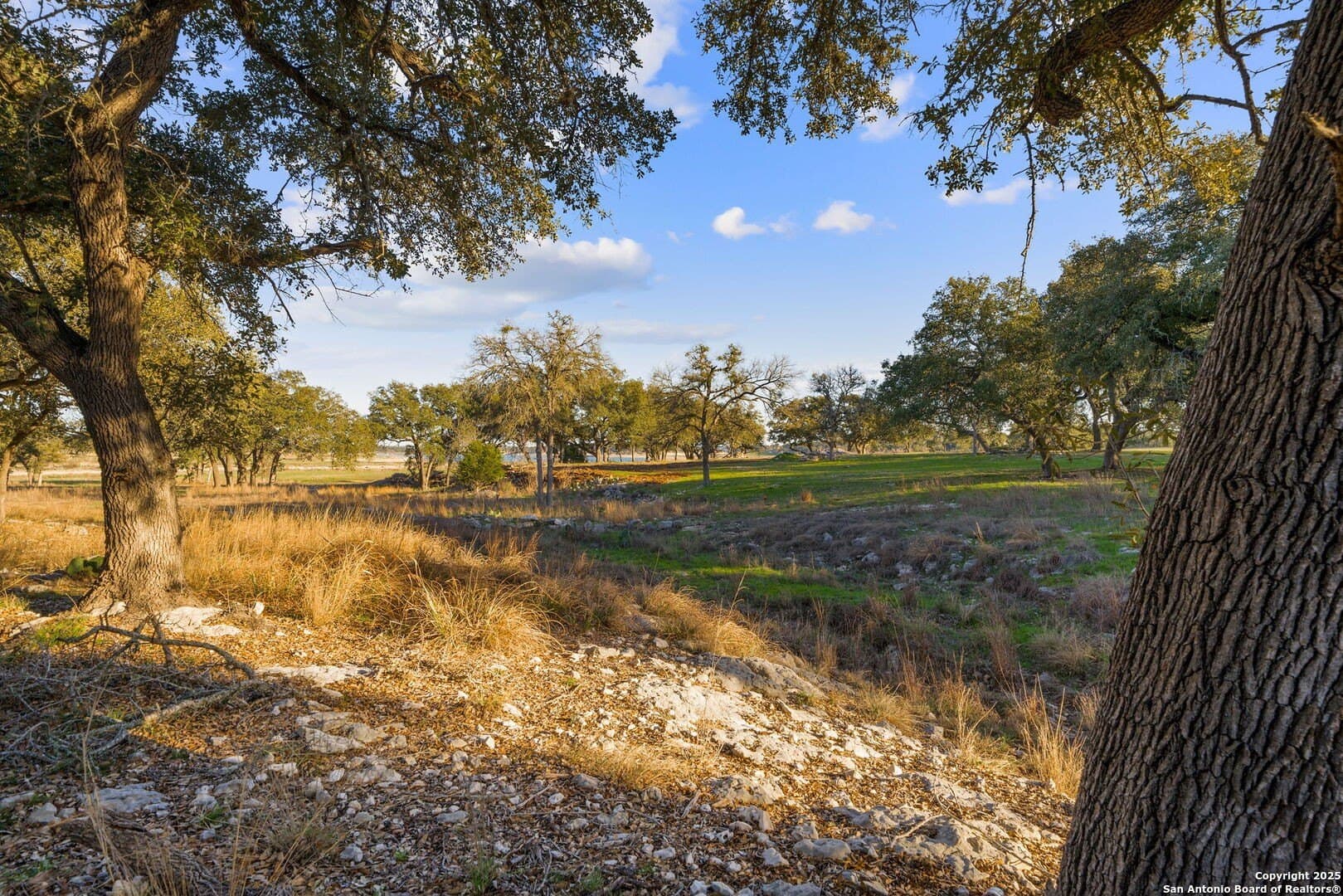 6.56 acres in Comal County - photo 15