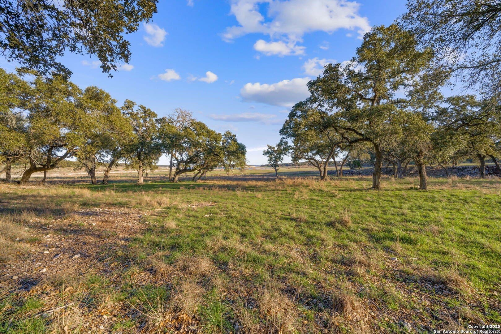 6.56 acres in Comal County - photo 22