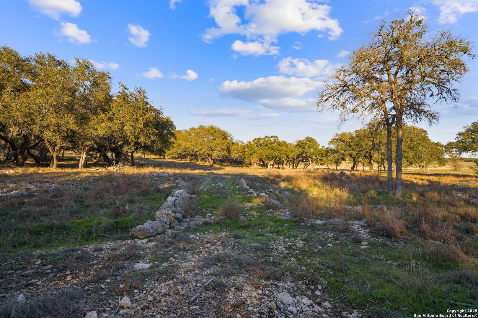 6.56 acres in Comal County - photo 16