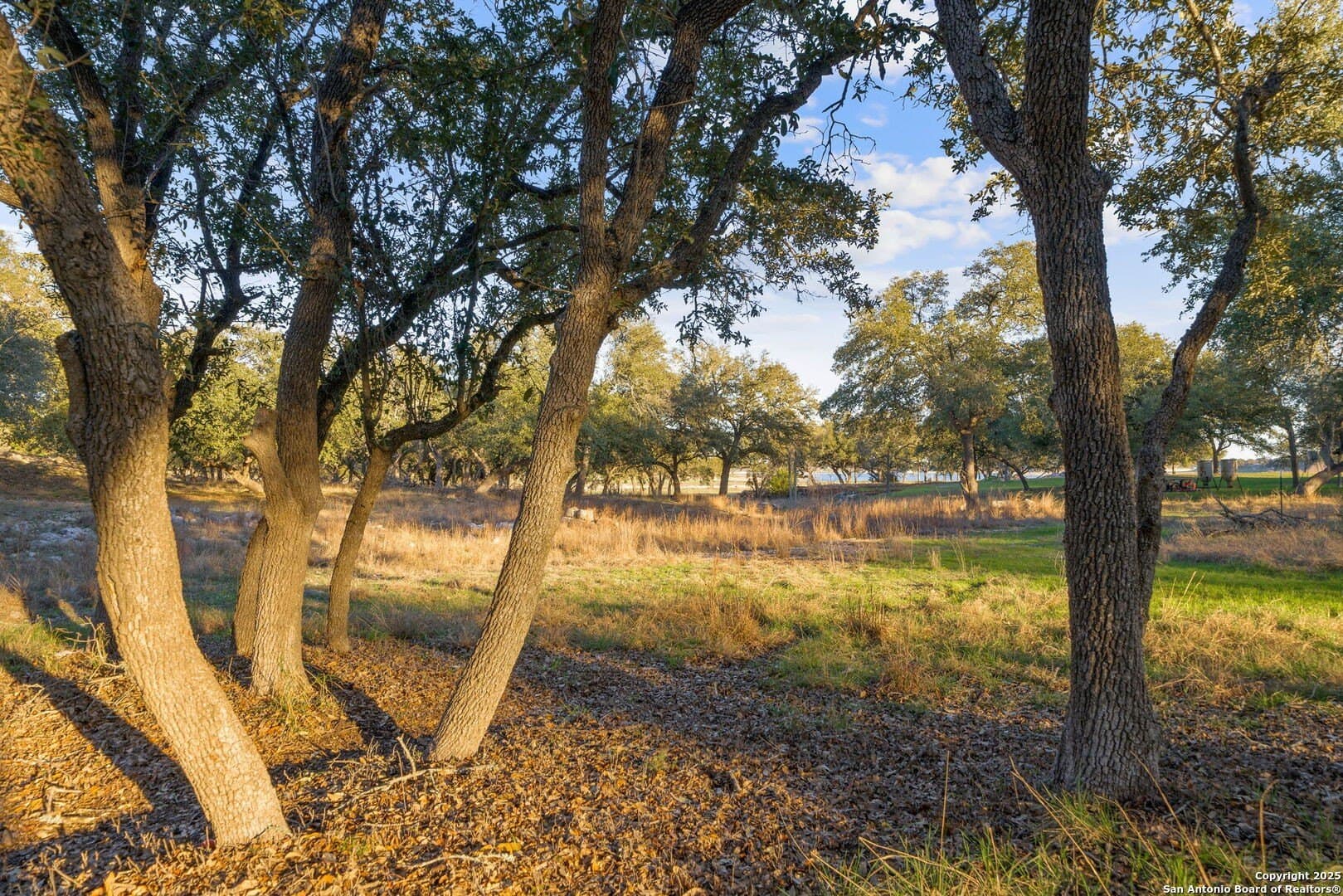 6.56 acres in Comal County - photo 12