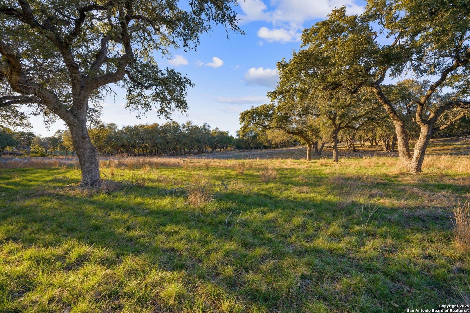 6.56 acres in Comal County - photo 25