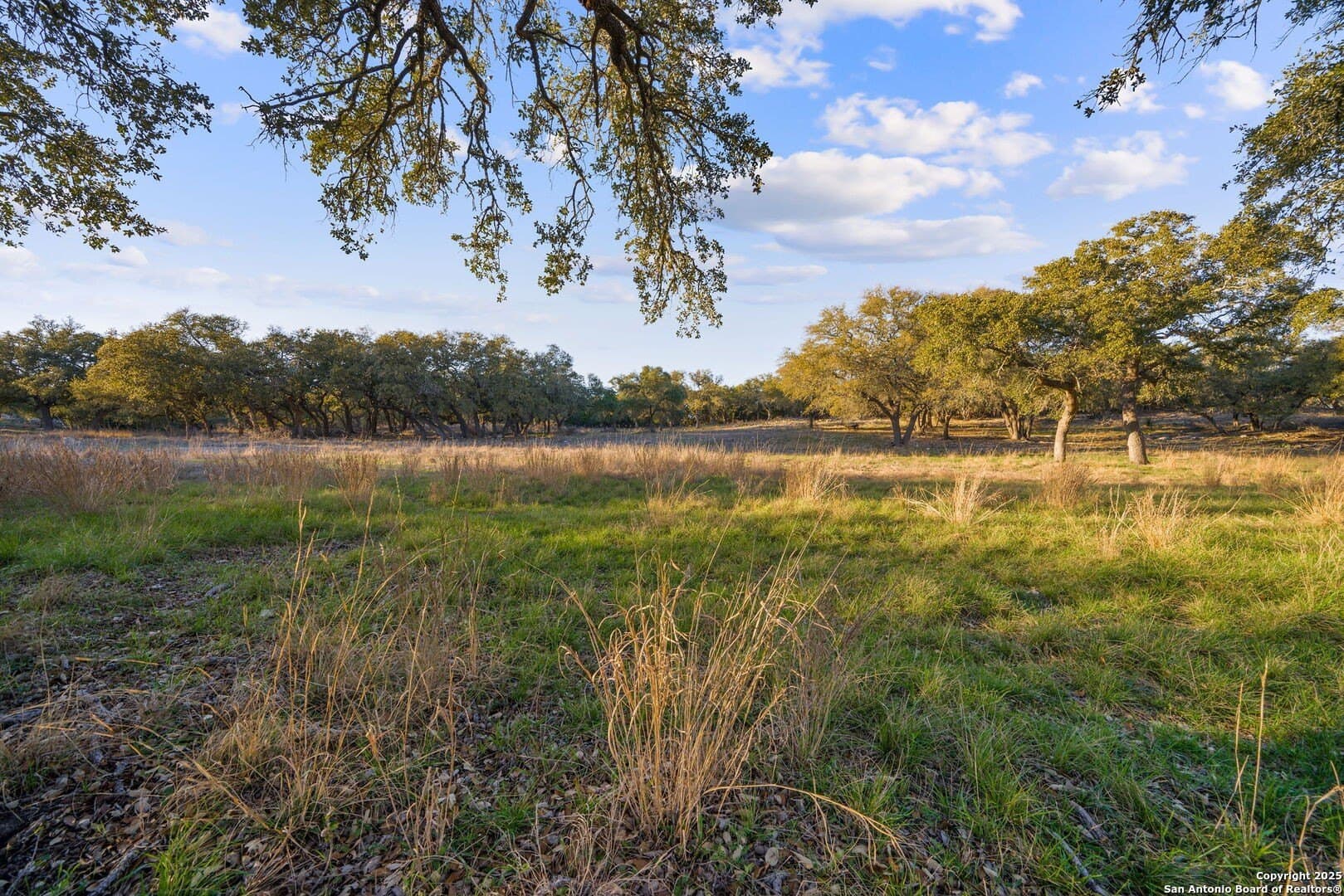 6.56 acres in Comal County - photo 10