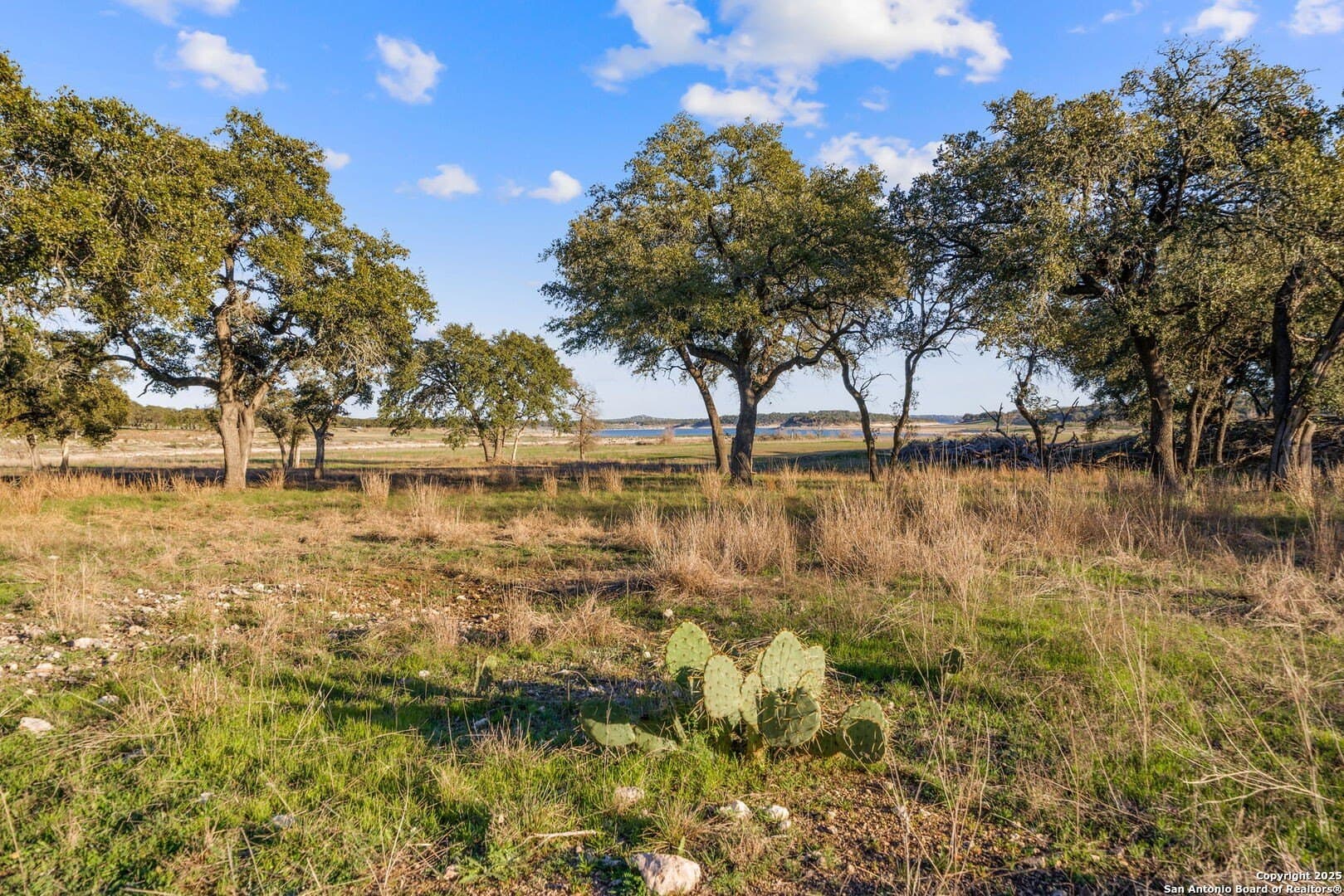 6.56 acres in Comal County - photo 19