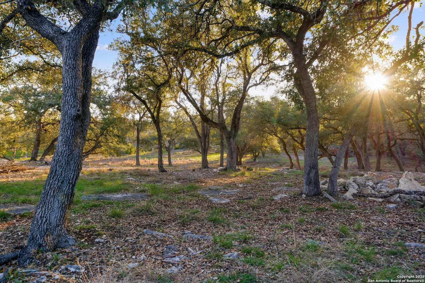6.56 acres in Comal County - photo 11